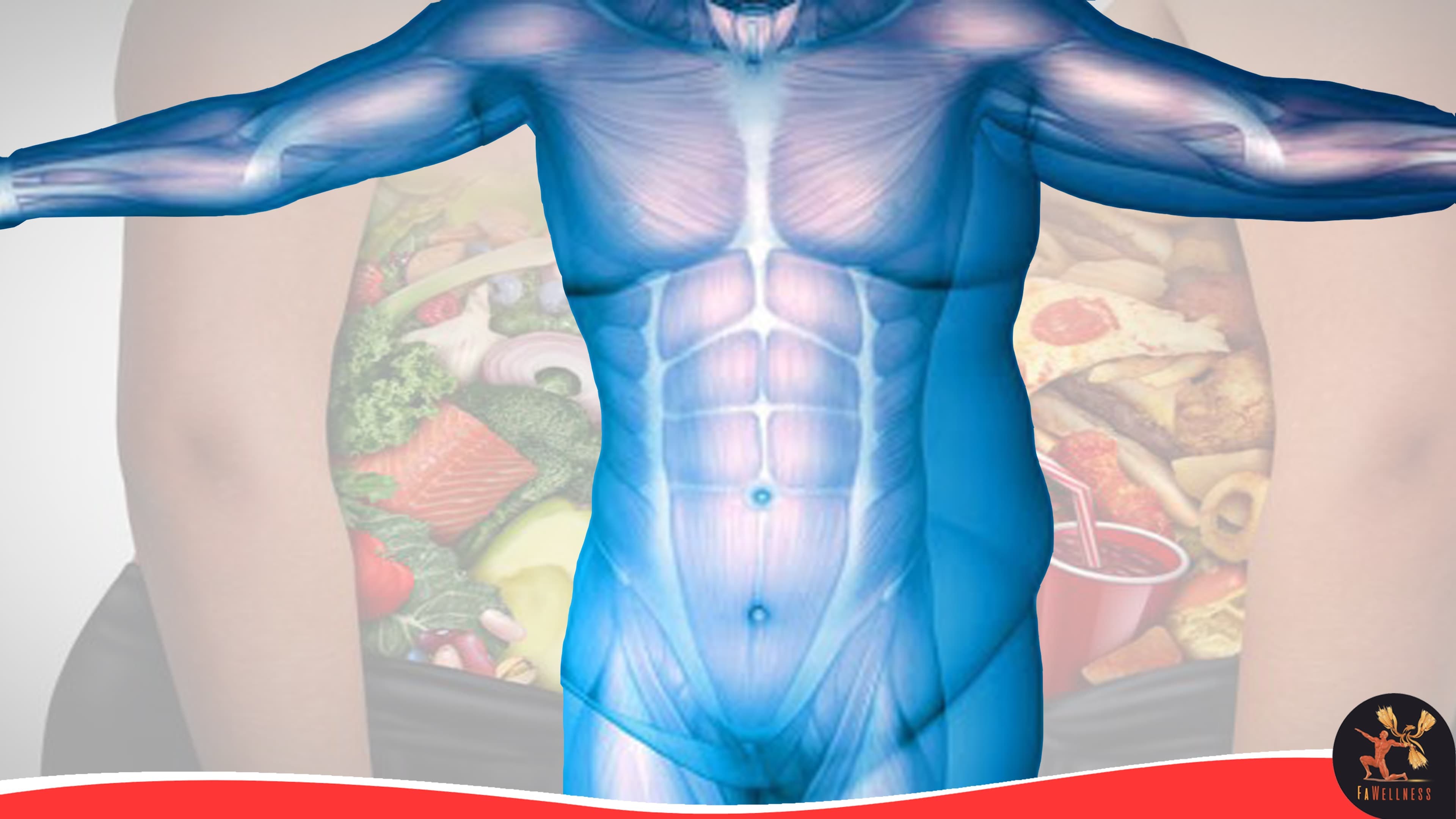 imagen blog FaWellness | GRASA CORPORAL LO QUE TIENES QUE SABER imagen blog FaWellness | GRASA CORPORAL LO QUE TIENES QUE SABER