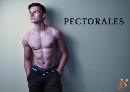 PECTORAL SUPERIOR. C MO ENTRENARLO