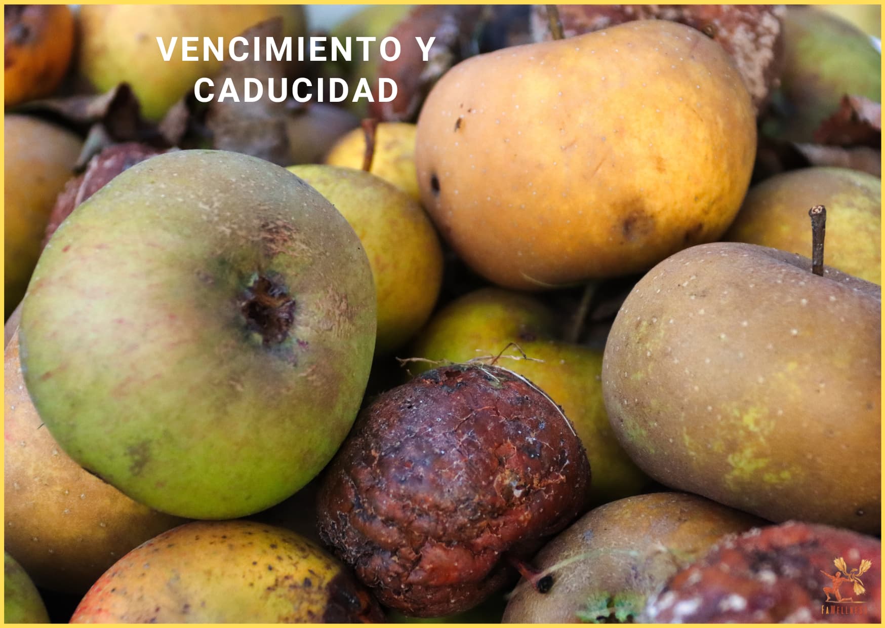 imagen blog FaWellness | FECHA DE CONSUMO PREFERENTE Y FECHA DE CADUCIDAD