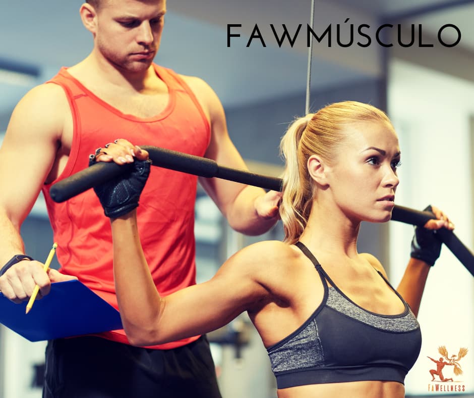 imagen blog FaWellness | Tu Socio Ideal Para Ganar Masa Muscular