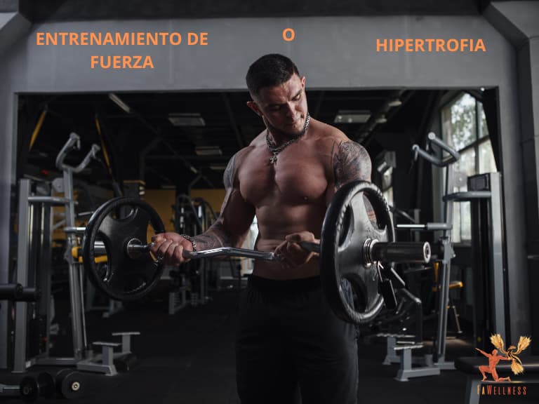 imagen blog FaWellness | Diferencia entre fuerza e hipertrofia. Son lo mismo?