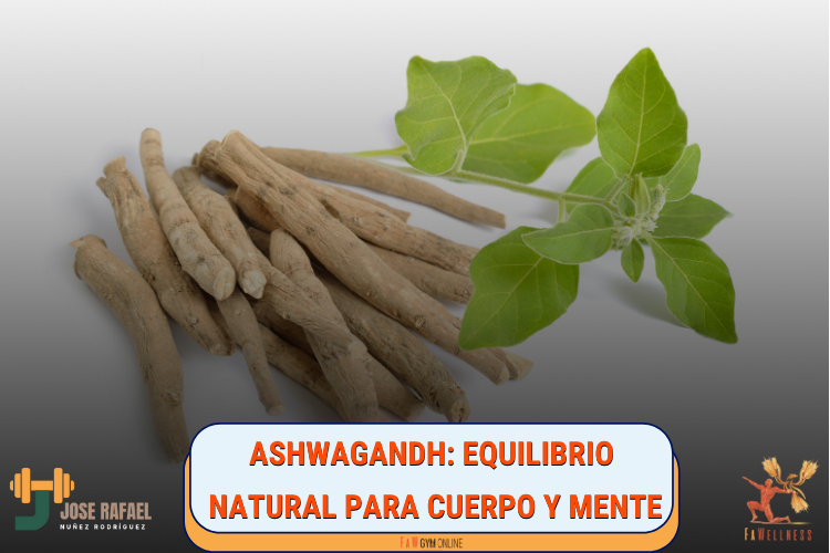 imagen de entrada del blog: Ashwagandha: el adapt�geno natural que ayuda a tu cuerpo a gestionar el estr�s