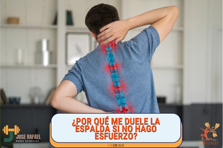 imagen blog FaWellness | �Por qu� me duele la espalda si no hago esfuerzo?