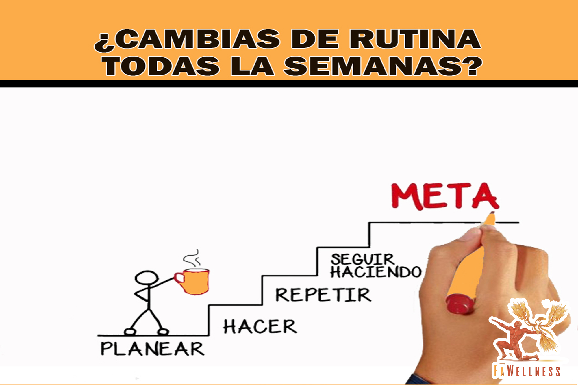 imagen blog FaWellness | CAMBIAS DE RUTINA TODAS LAS SEMANAS?