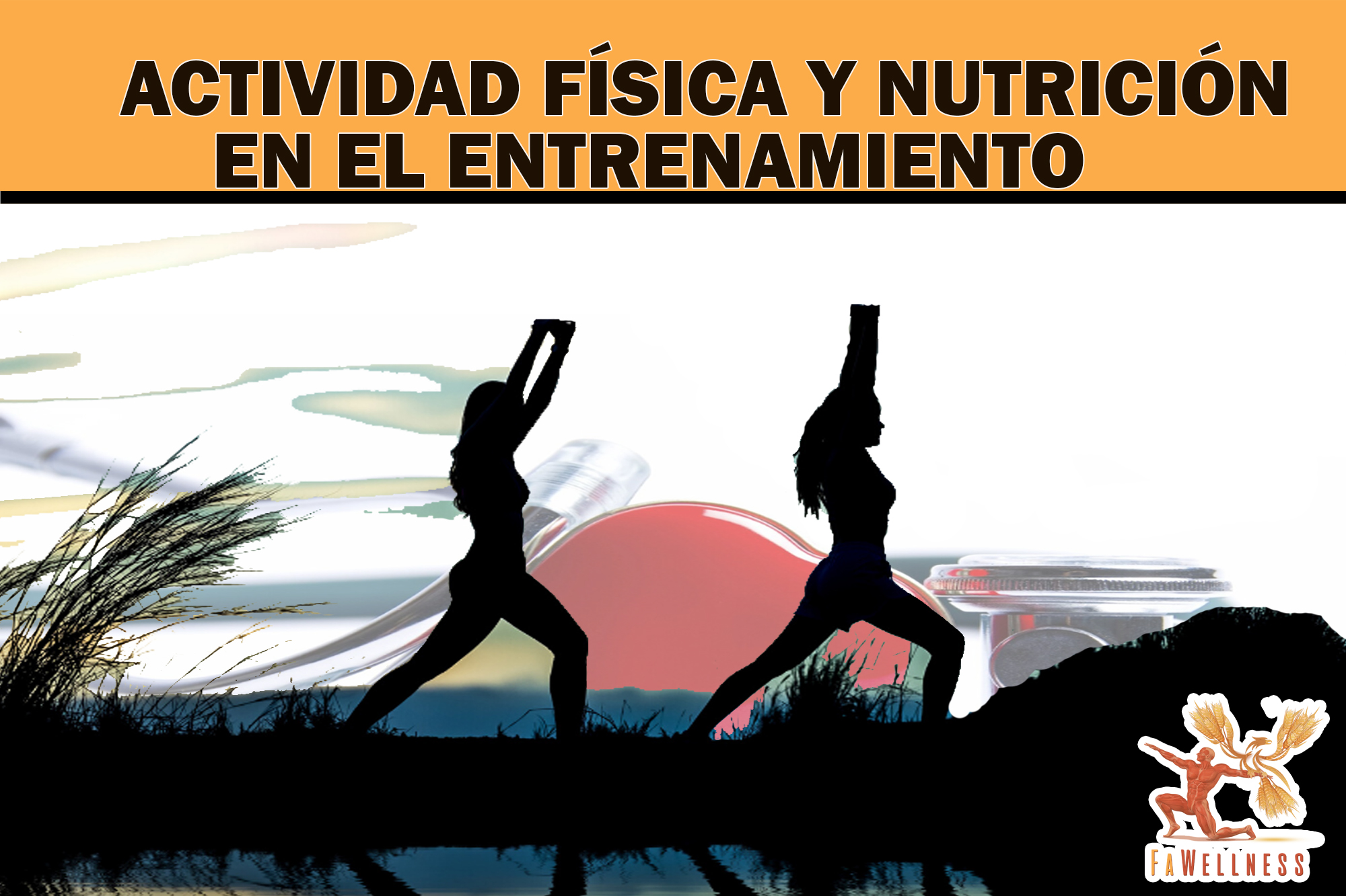 imagen blog FaWellness | VENTAJAS DE LA ACTIVIDAD FSICA Y QU PAPEL JUEGA LA NUTRICIN EN LOS PROGRAMAS DE ENTRENAMIENTO