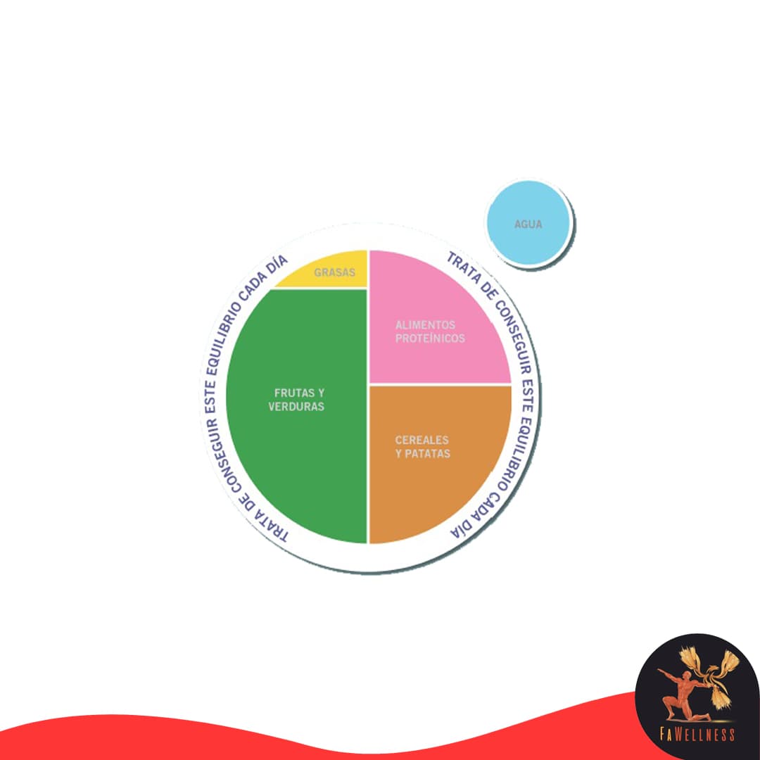 plato-saludable-embarazada-alimentacion-que-comer